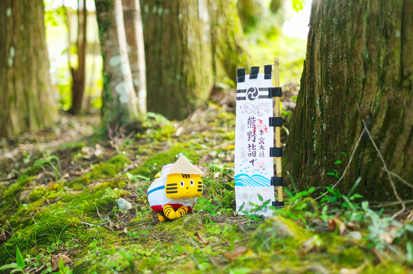 Vol.59 ふねこ、熊野古道へ！ 世界遺産巡礼の旅〜前編〜