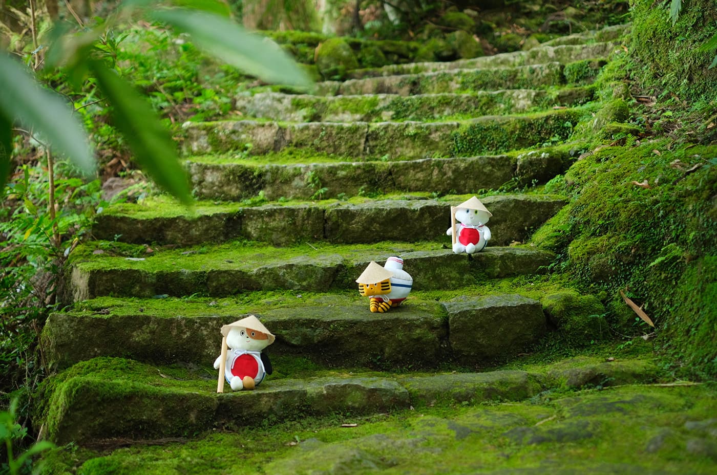 Vol.60 ふねこ、熊野古道へ!世界遺産巡礼の旅〜後編〜