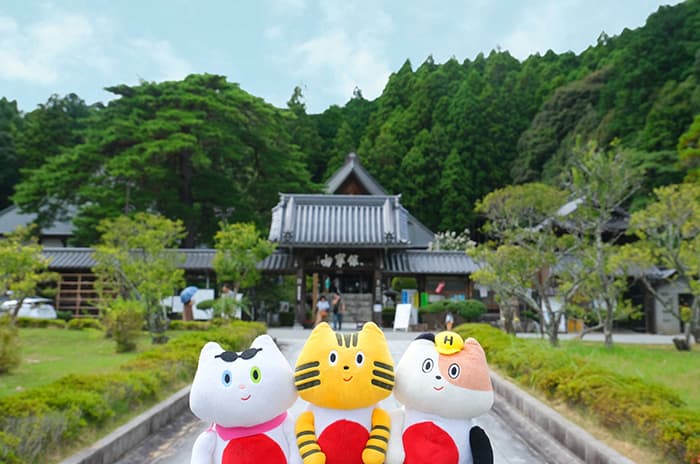 Vol.61 世界が⼤注⽬!! ⻄の京都、⼭⼝へドライブ♪〜前編〜