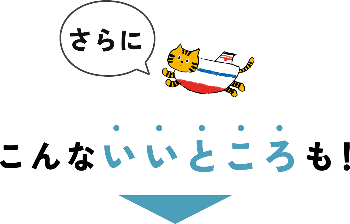 阪九フェリーなら関西～九州1万円以内（交通費プラス宿泊費）で行けちゃう！※割引除外期間は1万円を超える日があります